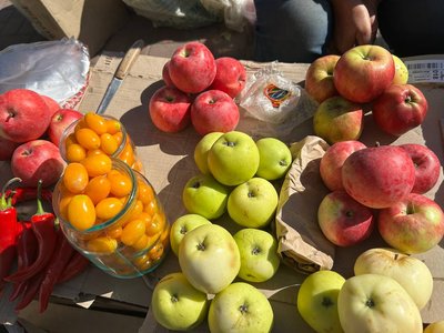 Яблука подорожчали вдвічі: яка ціна у Житомирі та що кажуть продавці й покупці Яблука подорожчали вдвічі: яка ціна у Житомирі та що кажуть продавці й покупці