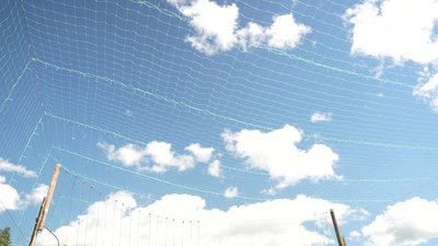 "За один день чотири влучання". Баранівку у Сумах планують закрити антидроновими сітками "За один день чотири влучання". Баранівку у Сумах планують закрити антидроновими сітками