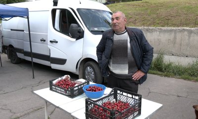 Як вирощують черешню на Волині і скільки коштує фрукт