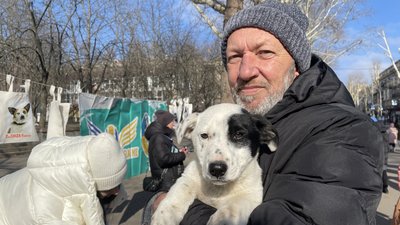 Очікували на господарів: у Миколаєві прилаштовували чотирилапих