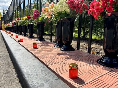На Житомирщині відкрили Алею пам'яті загиблих воїнів України На Житомирщині відкрили Алею пам'яті загиблих воїнів України