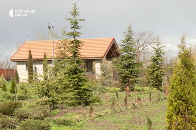 "Третя весна без сина": як на Одещині доглядають сад загиблого військового Бориса Айзенберга "Третя весна без сина": як на Одещині доглядають сад загиблого військового Бориса Айзенберга