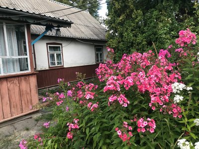 Кароліна чи Червоносілка: жителі села на Житомирщині обирають історичну назву