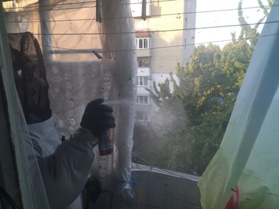 Рятувальник знищує кубло шершнів у Рівному Рятувальник знищує кубло шершнів у Рівному