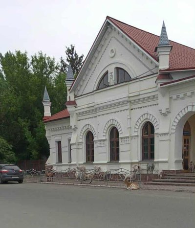 Кози на вулицях Малина на Житомирщині: проблеми з безконтрольним стадом біля вокзалу Кози на вулицях Малина на Житомирщині: проблеми з безконтрольним стадом біля вокзалу