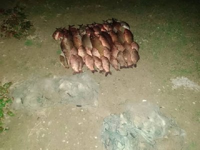 Обстріли, суд у справі військового Гнезділова, будівництво лінії оборони. Головні новини Дніпра та області 23 січня Обстріли, суд у справі військового Гнезділова, будівництво лінії оборони. Головні новини Дніпра та області 23 січня