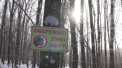 Підгодівля диких тварин Підгодівля диких тварин