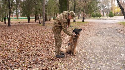 Тренується щодня по три години й любить масаж: у кропивницькому підрозділі Нацгвардії служить вівчарка Герда Тренується щодня по три години й любить масаж: у кропивницькому підрозділі Нацгвардії служить вівчарка Герда