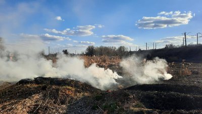 Пожежа в екосистемі у Харківському районі Харківщини Пожежа в екосистемі у Харківському районі Харківщини