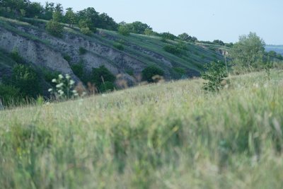 «Порівнюють з Новою Зеландією». Що відомо про балку Сажівку поблизу Дніпра «Порівнюють з Новою Зеландією». Що відомо про балку Сажівку поблизу Дніпра
