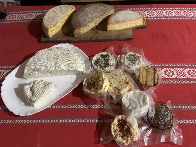 Козотерапія у Тухлі: як фермерка з Карпат створила сироварню