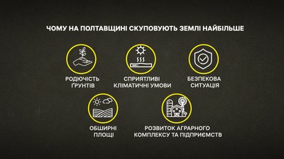 2024-го року Полтавщина стала лідером з продажу земель: чому та хто купує 2024-го року Полтавщина стала лідером з продажу земель: чому та хто купує
