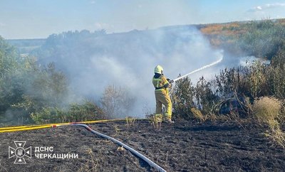 Горіла рослинність, сміття та стерня: на Черкащині виникло 17 пожеж Горіла рослинність, сміття та стерня: на Черкащині виникло 17 пожеж