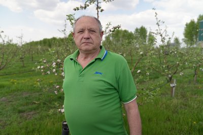 "Підрізаємо і беремося з гризунами": як вирощують яблука на Сумщині "Підрізаємо і беремося з гризунами": як вирощують яблука на Сумщині