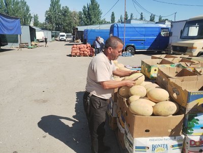 Кавуни та дині почали збирати на Кіровоградщині. Яка ціна у фермерському господарстві й за скільки їх продають