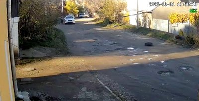 У Чернівцях розслідують ймовірне отруєння двох собак: що кажуть волонтери та поліція У Чернівцях розслідують ймовірне отруєння двох собак: що кажуть волонтери та поліція