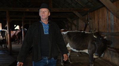 Полонина, вівці, Карпати, депутат полонини, Володимир Дручків Полонина, вівці, Карпати, депутат полонини, Володимир Дручків