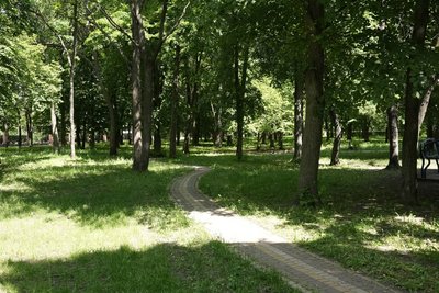 Європейський день парків. Які є в Кропивницькому і як там можна відпочити