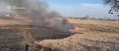 На Житомирщині під час гасіння очерету знайшли тіло людини На Житомирщині під час гасіння очерету знайшли тіло людини
