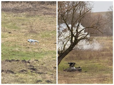 Дрон, наземні дрони, мураха, розвідувальний пес Дрон, наземні дрони, мураха, розвідувальний пес