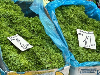 Ціни на ранні овочі, тернопільський ринок, Тернопіль, економіка, ціни, квітень 2025