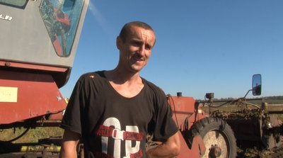 З тонни буряка — 80 кілограмів цукру: на Черкащині завершують збір цукрового буряка З тонни буряка — 80 кілограмів цукру: на Черкащині завершують збір цукрового буряка