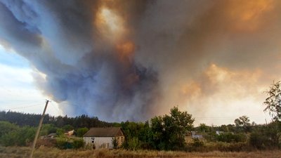 Понад 8 тисяч гектарів лісів згоріли на Донеччині від початку року Понад 8 тисяч гектарів лісів згоріли на Донеччині від початку року