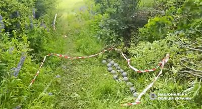Суббоєприпаси від збитої крилатої ракети знешкодили на Рівненщині Суббоєприпаси від збитої крилатої ракети знешкодили на Рівненщині