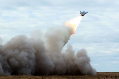 Ту-141 "Стриж" Повітряних сил України