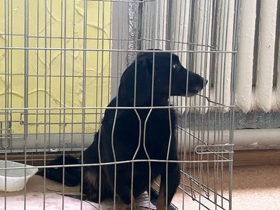 Виїхали, коли армія РФ зруйнувала будинки. У транзитному центрі Павлограда евакуйовані з Донеччини чекають на розселення Виїхали, коли армія РФ зруйнувала будинки. У транзитному центрі Павлограда евакуйовані з Донеччини чекають на розселення