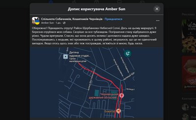У Чернівцях поліція перевіряє інформацію про можливе отруєння собаки У Чернівцях поліція перевіряє інформацію про можливе отруєння собаки