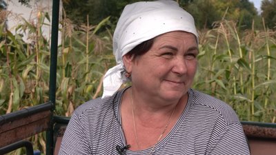 Картопля на Чернігівщині: історія старости з Коропщини, яка сама копає картоплю трактором Картопля на Чернігівщині: історія старости з Коропщини, яка сама копає картоплю трактором