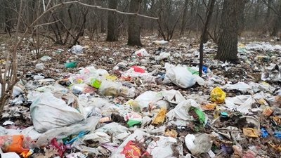 Сміття у кропивницькому лісопарку: хто повинен прибирати Сміття у кропивницькому лісопарку: хто повинен прибирати