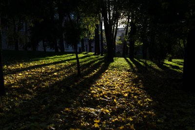 Поет із зорею в руках і місто двох міст: есей Ростислава Кузика з Bazhan Residency Vol. 3 Поет із зорею в руках і місто двох міст: есей Ростислава Кузика з Bazhan Residency Vol. 3
