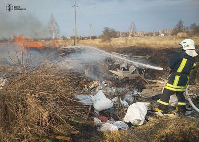 Пожежі в екосистемах Київщини: за одну добу вигоріли близько 10 гектарів території Пожежі в екосистемах Київщини: за одну добу вигоріли близько 10 гектарів території