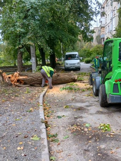 У Харкові комунальники прибирають дерево, що впало через вітер У Харкові комунальники прибирають дерево, що впало через вітер