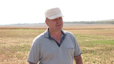 «Не скажемо, що дуже великий врожай»: як проходять жнива у Рівненській області «Не скажемо, що дуже великий врожай»: як проходять жнива у Рівненській області