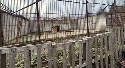 Вольєр на території реабілітаційного центру для диких тварин
