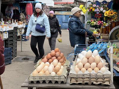 На 25% здорожчали яйця на Полтавщині: з чим це пов’язано та чого очікувати далі На 25% здорожчали яйця на Полтавщині: з чим це пов’язано та чого очікувати далі