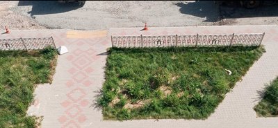 “Розголос допоміг”: як у Рівному під час будівництва дороги мешканці відстояли своє “Розголос допоміг”: як у Рівному під час будівництва дороги мешканці відстояли своє