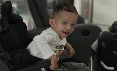 дім метеликів дім метеликів