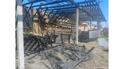 Збитки довкіллю на Чернігівщині: екологи нарахували понад 600 тисяч гривень збитків Збитки довкіллю на Чернігівщині: екологи нарахували понад 600 тисяч гривень збитків