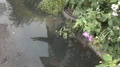 Місяць не працює каналізація в селі Зарічани Станишівської громади: які причини і вихід із ситуації Місяць не працює каналізація в селі Зарічани Станишівської громади: які причини і вихід із ситуації
