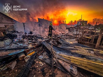 У селищі на Одещині під час пожежі загинув домашній скот У селищі на Одещині під час пожежі загинув домашній скот