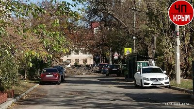 У Сімферополі упало дерево на вулиці Шполянської, 12 листопада 2023 року У Сімферополі упало дерево на вулиці Шполянської, 12 листопада 2023 року
