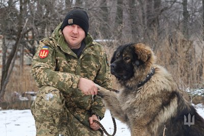 Про пса мріяв все життя: боєць волинської бригади несе службу разом із 60-кілограмовою вівчаркою Про пса мріяв все життя: боєць волинської бригади несе службу разом із 60-кілограмовою вівчаркою