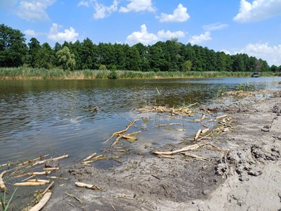 Забруднення річки Коломак на Полтавщині: що виявили у водоймі при дослідженні Забруднення річки Коломак на Полтавщині: що виявили у водоймі при дослідженні