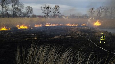 Пожежа сухостою на Черкащині Пожежа сухостою на Черкащині