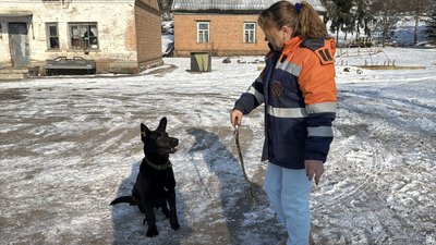 У Полтаві готують нові правила утримання тварин: що зміниться У Полтаві готують нові правила утримання тварин: що зміниться