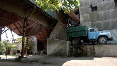 На фермерському господарстві